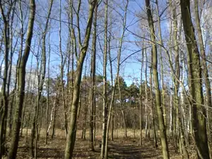 Každý den jiný...