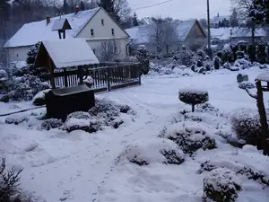 muškatek — 31. ledna 2015