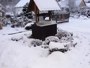 muškatek — 31. ledna 2015