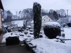 muškatek — 31. ledna 2015