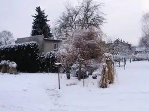 muškatek — 31. ledna 2015