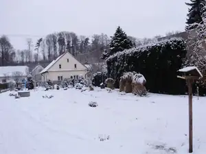 muškatek — 31. ledna 2015
