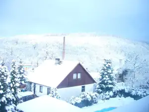 ladu11 — 1. února 2015