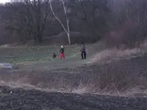 Odpolední procházka