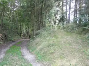 Lanková — 18. února 2015