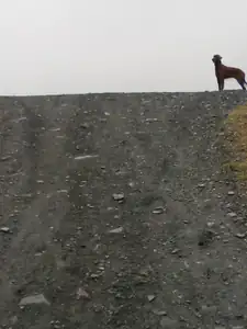 Vůbec ,ale vůvec není hezký den !!!