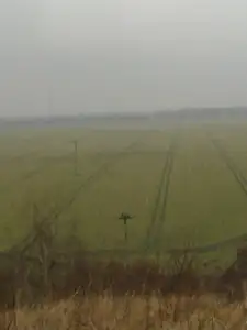 sud — 14. března 2015