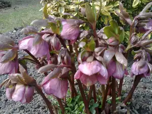sud — 26. března 2015