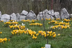 Duben 2015 zahrada.