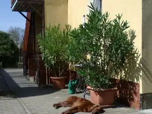 Středa byla dobrá...