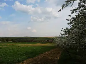 16.4.2015