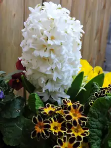 Magdalenka73 — 17. dubna 2015