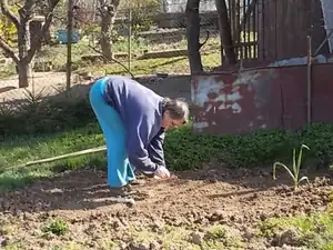 zhbobo — 21. dubna 2015