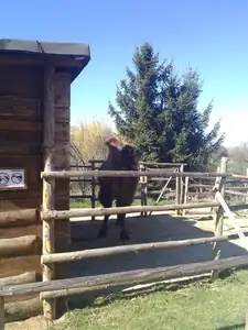 iris66 — 21. dubna 2015