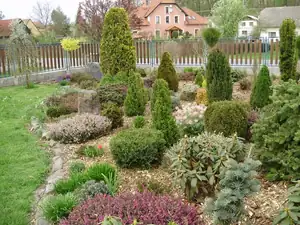 muškatek — 6. května 2015