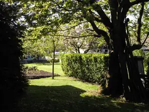 ...trocha stínu se občas hodí...