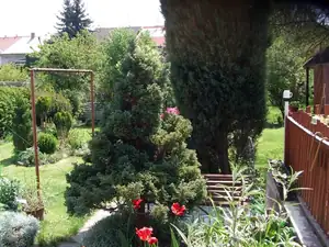 pohled z okna