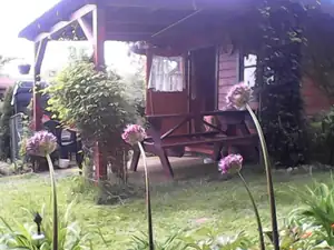 česneky