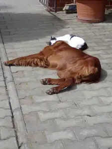 Všem zahradnickým skřítkům zdar.