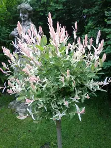 sud — 20. května 2015