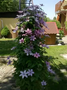 sud — 7. července 2015