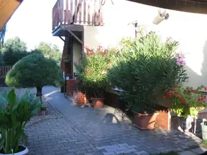 sud — 31. srpna 2015