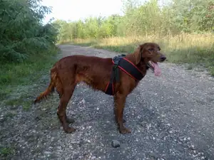 sud — 14. září 2015