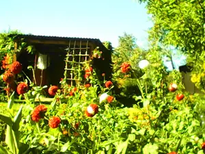 ludmila60 — 6. října 2015