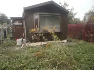 kuree — 14. října 2015