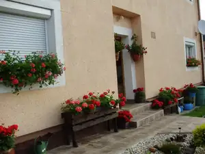 muškatek — 19. října 2015