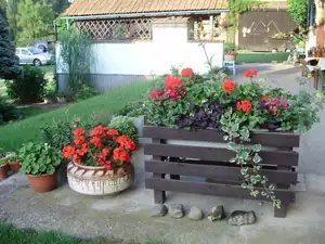 muškatek — 19. října 2015
