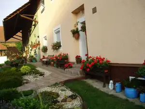 muškatek — 19. října 2015