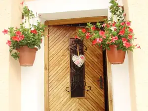 muškatek — 19. října 2015