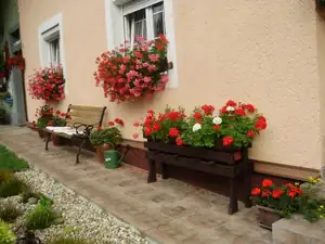 muškatek — 19. října 2015
