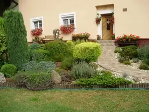 muškatek — 19. října 2015