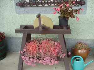 muškatek — 21. října 2015