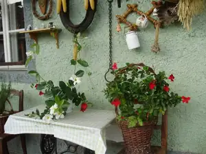 muškatek — 21. října 2015