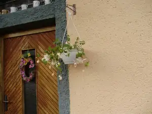 muškatek — 21. října 2015