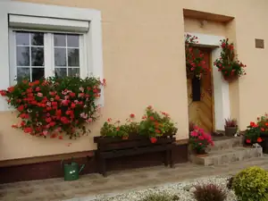 muškatek — 21. října 2015
