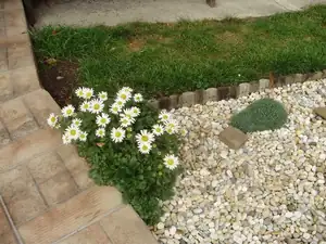 muškatek — 21. října 2015