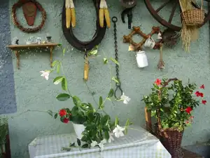 muškatek — 21. října 2015