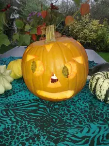 Hůůůůů