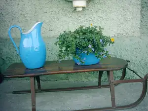 muškatek — 29. května 2011