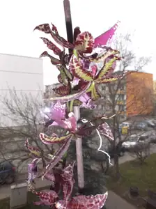 emilka12 — 16. prosince 2015