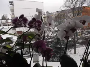 Vše nejlepší v roce 2016