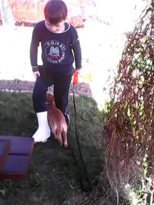 Nádherný letní den