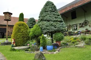muškatek — 4. června 2011