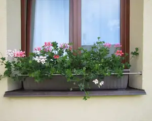 zábrana truhlíku dastech