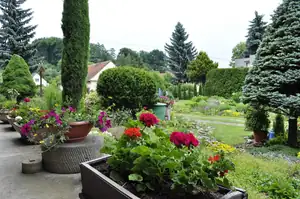 muškatek — 4. června 2011