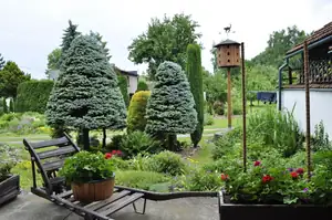 muškatek — 4. června 2011